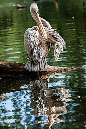 独立复古恐怖游戏《Hollowbody》宣布9月12日正式发售